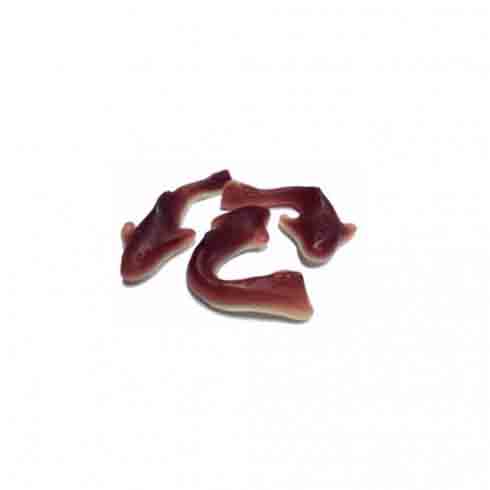 Big Shark Gummy