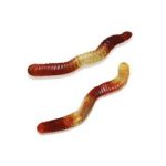 Cola Worms Gummy Candy